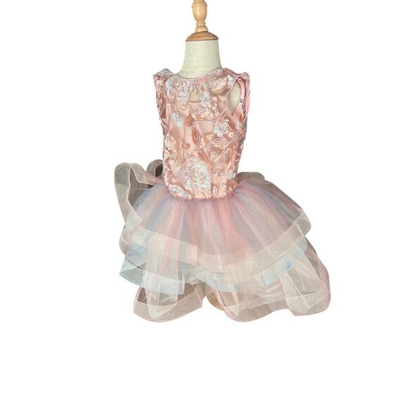 Revolution Dancewear Meadow Garden Ballet Costume Tutu Dress Pink Floral - Picture 4 of 10